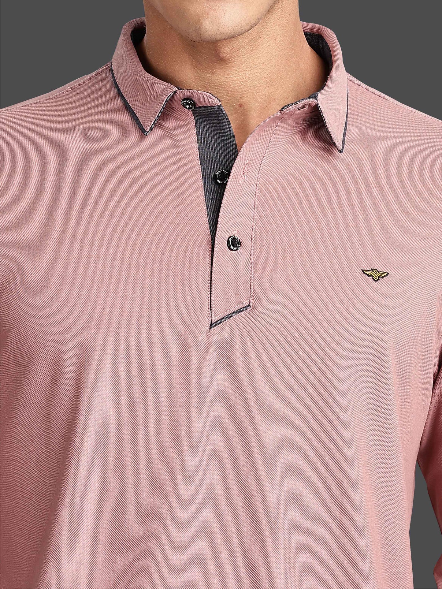 Men's Full Sleeve Soft Berry PQ Polo T-Shirt-Mauve
