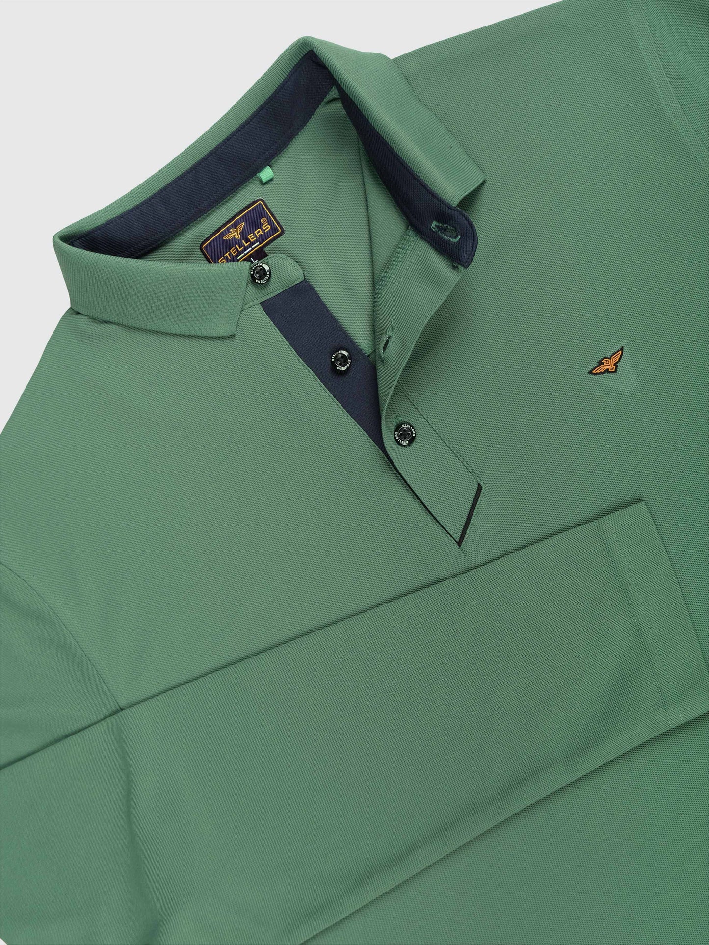Men's Apple Green Full Sleeve Polo T-Shirt