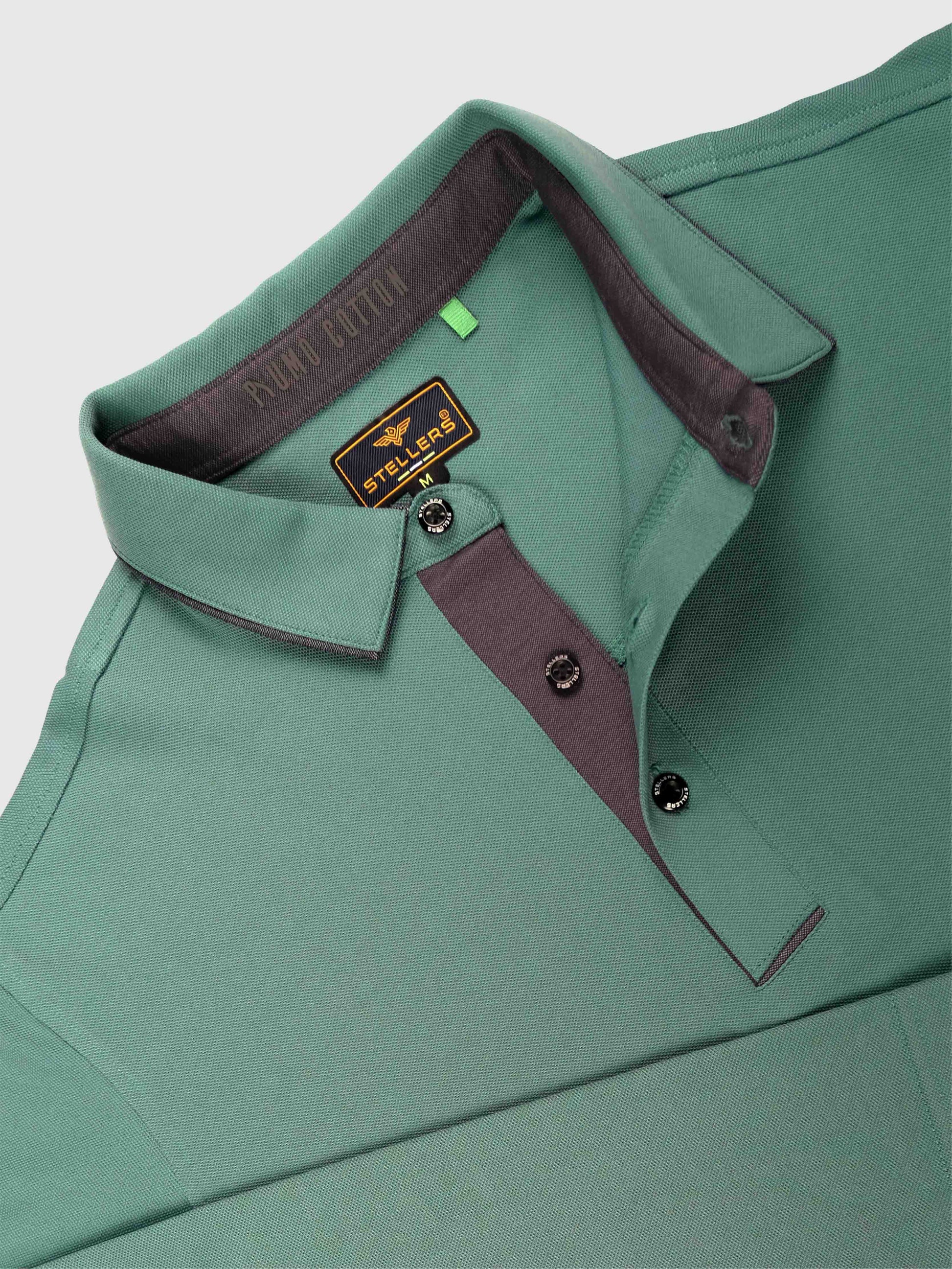 Green Soft Berry PQ Full Sleeve Polo T Shirt