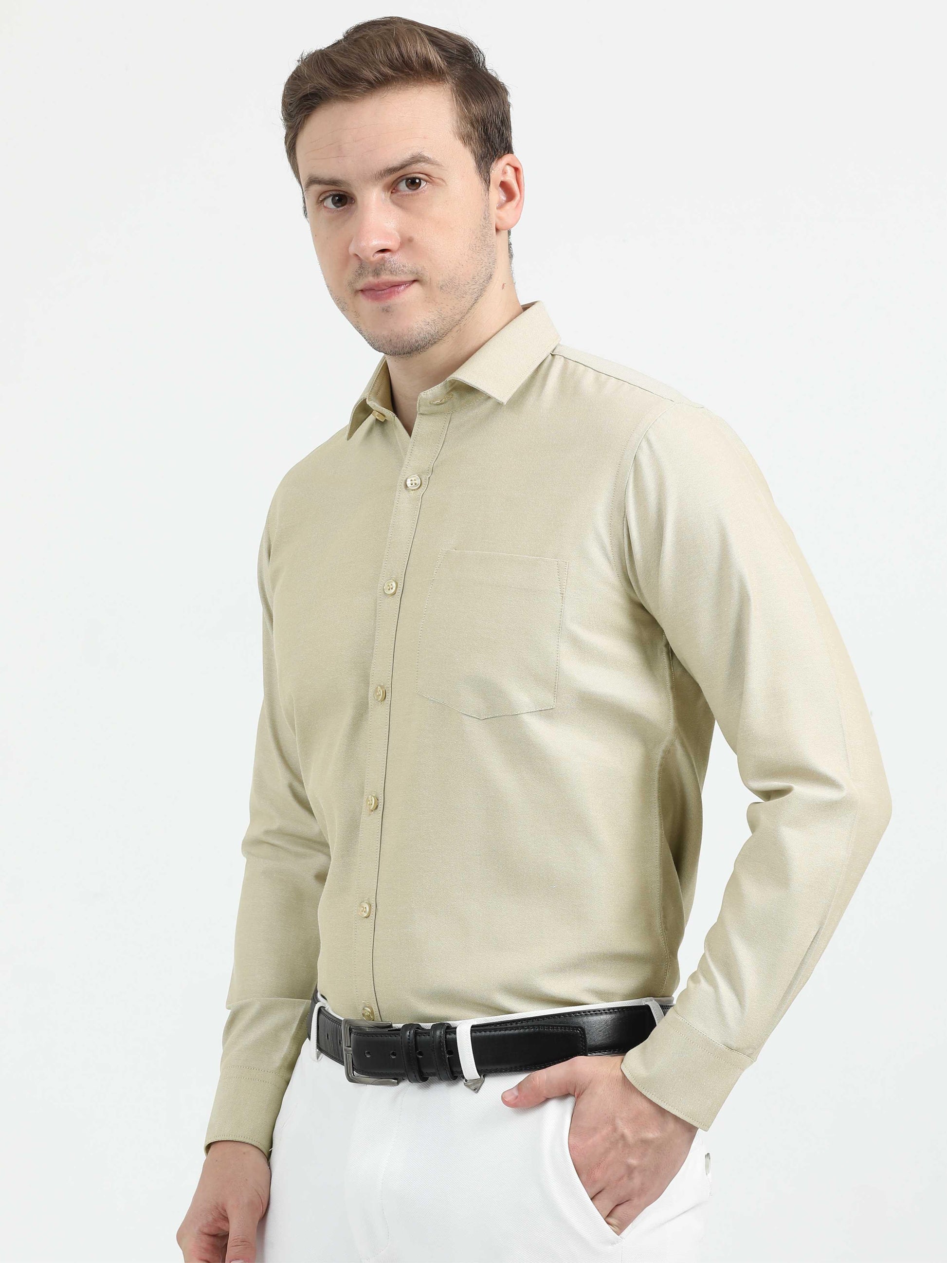 Beige Plus Size Oxford Office Shirt