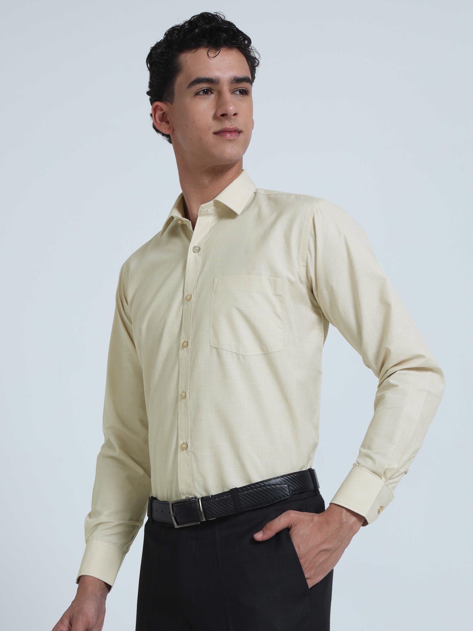 Fawn Filla Fill Formal Shirts for Men