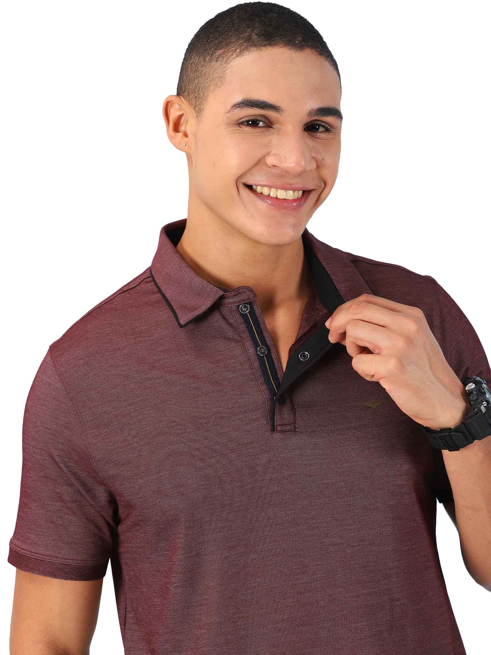Maroon Men's Blended Cotton Polo T Shirts